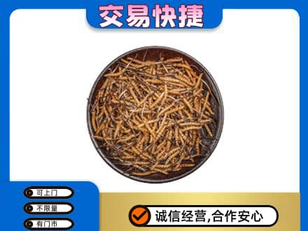 承德回收散虫草